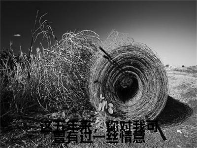 【新书】《这五年来，你对我可曾有过一丝情意》全文免费阅读无弹窗大结局-陆之延姜婉全章节免费阅读
