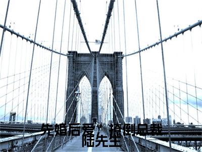 先婚后爱，撩倒总裁陆先生（苏沐陆谨深）全文免费阅读无弹窗_先婚后爱，撩倒总裁陆先生小说免费阅读_笔趣阁