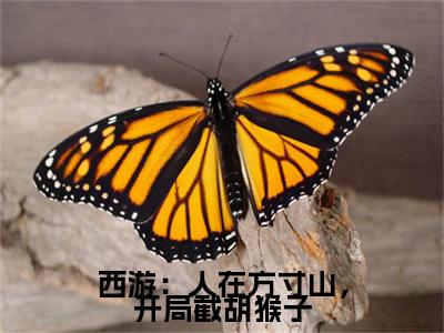 西游：人在方寸山，开局截胡猴子小说最新章节阅读 西游：人在方寸山，开局截胡猴子叶云全文免费阅读最新章节大结局