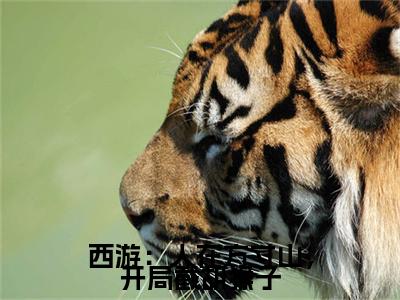 西游：人在方寸山，开局截胡猴子小说免费下载（西游：人在方寸山，开局截胡猴子完整全集已完结大结局小说）_叶云免费阅读笔趣阁