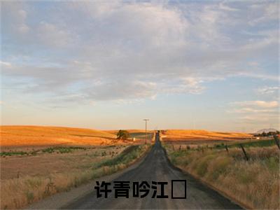 (热推新书)《许青吟江璟》全文免费阅读最新章节大结局-江璟许青吟无弹窗阅读