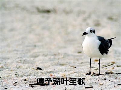 傅予深叶笙歌全文免费阅读无弹窗大结局_(叶笙歌傅予深免费阅读)傅予深叶笙歌最新章节列表_笔趣阁