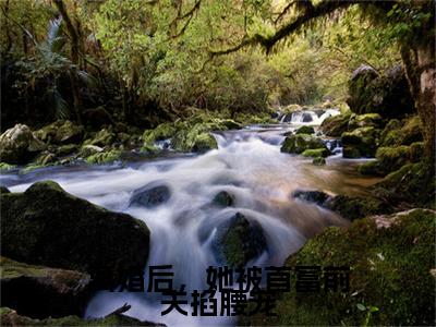 离婚后，她被首富前夫掐腰宠全文免费阅读_（离婚后，她被首富前夫掐腰宠）傅寒夜夏浅最新小说_笔趣阁
