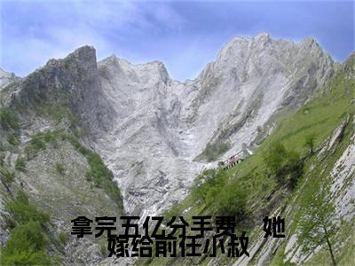 拿完五亿分手费,她嫁给前任小叔全本资源免费阅读结局无删节-苏柚顾修北小说全文阅读无弹窗(拿完五亿分手费,她嫁给前任小叔)