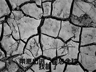 （安歌霍少衍）全文免费阅读无弹窗大结局_带崽出逃，霍总全球找疯了免费小说最新章节列表笔趣阁（安歌霍少衍）