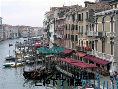 裴泽岳简意语全文（嫁给他之前，她给自己种下了情蛊 ）全文免费阅读无弹窗大结局_裴泽岳简意语免费最新章节列表_笔趣阁