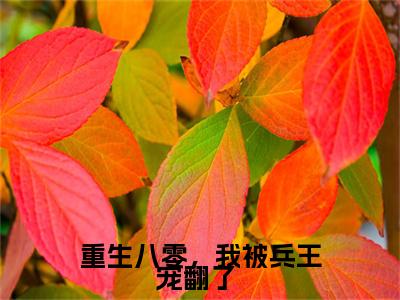 2023年精选热门小说重生八零,我被兵王宠翻了 (许慧陆启贤)-(许慧陆启贤)重生八零,我被兵王宠翻了 免费阅读