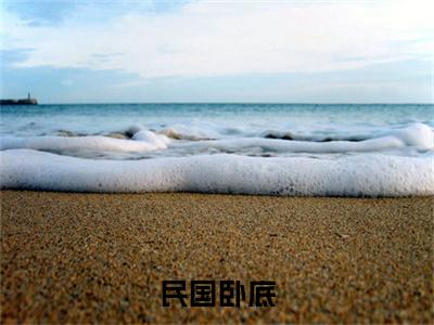 民国卧底已完结小说全集阅读（陈锋完整版大结局）民国卧底小说全文阅读笔趣阁