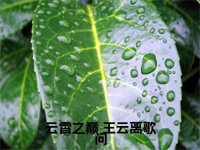 云霄之巅（ 王云离歌问）全文免费阅读_（ 王云离歌问）云霄之巅最新章节列表笔趣阁（ 王云离歌问）