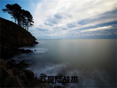 苏蔓陆战杰全文免费阅读大结局 陆战杰苏蔓最新章节列表
