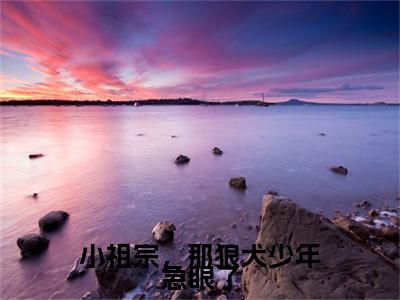 小祖宗，那狼犬少年急眼了(顾西征温念)全文免费阅读无弹窗大结局_小祖宗，那狼犬少年急眼了全文阅读_笔趣阁（顾西征温念）
