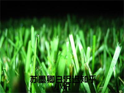  苏墨卿白迟迟小说免费全本-生崽痛哭：豪门老男人低声轻哄小说连载篇试读小说（ 苏墨卿白迟迟完整版）免费阅读