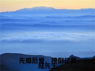 小说（先婚后爱，撩倒总裁陆先生）苏沐陆谨深全文阅读-先婚后爱，撩倒总裁陆先生（苏沐陆谨深）老书虫书荒推荐热点小说