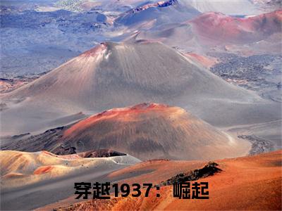 胡天小说在线阅读（穿越1937：崛起）全文免费阅读无弹窗大结局_胡天小说免费最新章节列表_笔趣阁（穿越1937：崛起）