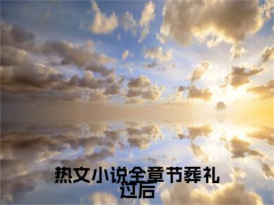  盛闻安程婴全文（全章节葬礼过后，我被小叔强制诱宠）全文免费阅读无弹窗大结局_ 盛闻安程婴免费最新章节列表_笔趣阁