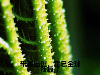 带崽出逃，霍总全球找疯了安歌霍少衍小说全文免费阅读无弹窗大结局_(安歌霍少衍)带崽出逃，霍总全球找疯了最新章节列表笔趣阁（带崽出逃，霍总全球找疯了）