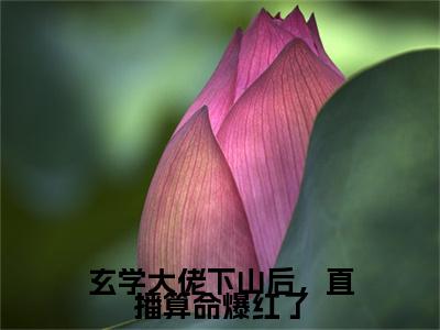 秦颜今小说全文免费阅读_秦颜今(玄学大佬下山后,直播算命爆红了)最新章节列表笔趣阁