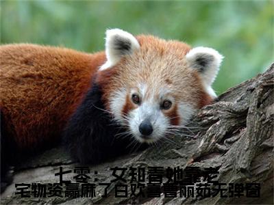  白欢喜曹丽茹小说完整版阅读-小说七零：女知青她靠老宅物资赢麻了白欢喜曹丽茹全文免费阅读
