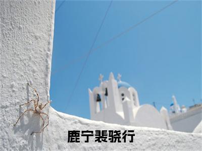 鹿宁裴骁行全文小说裴骁行鹿宁免费在线分享-新书热荐免费小说裴骁行鹿宁