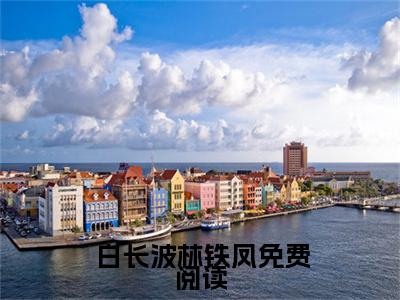  白长波林铁凤（重生九零：我家悍媳超旺夫）全文免费 白长波林铁凤读无弹窗大结局_  白长波林铁凤免费重生九零：我家悍媳超旺夫读最新章节列表_笔趣阁