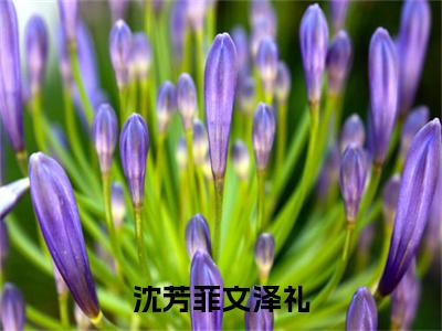 文泽礼沈芳菲txt（沈芳菲文泽礼）全文免费阅读无弹窗大结局_文泽礼沈芳菲最新章节列表_笔趣阁（沈芳菲文泽礼）