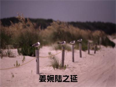 姜婉陆之延（陆之延姜婉）笔趣阁免费小说全文完整版-陆之延姜婉无弹窗免费阅读