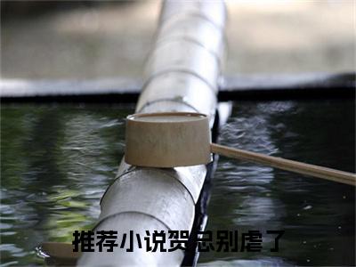  姜轻贺凌寒（贺总别虐了，太太让位了姜轻贺凌寒小说全文）在线阅读- 姜轻贺凌寒全文免费阅读无弹窗大结局