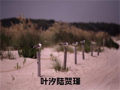 叶汐陆贺瑾（陆贺瑾叶汐）全文免费阅读无弹窗大结局_陆贺瑾叶汐最新章节列表