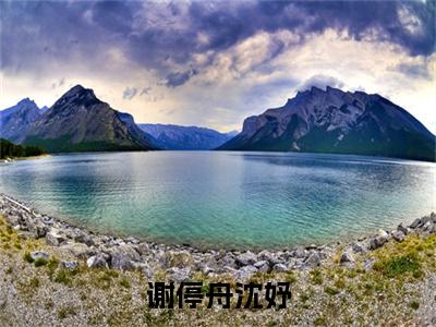 谢停舟沈妤全文免费阅读无弹窗(小说全文免费阅读)沈妤谢停舟最新章节列表_笔趣阁