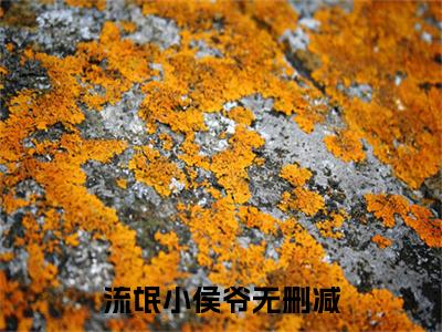 流氓小侯爷全文最新章节（ 柳芝林柳文婧）全文免费阅读无弹窗大结局_ 柳芝林柳文婧免费阅读（流氓小侯爷全文）