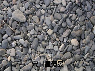 宋婠星傅晏免费小说-宋婠星傅晏完结版在线阅读