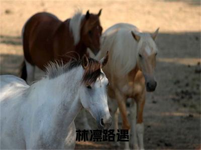 警戒之队长别越界！免费小说_ 林凛路遇免费最新章节列表_笔趣阁