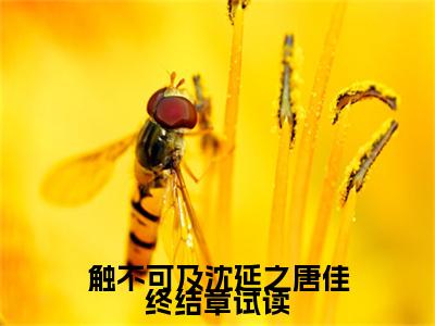  沈延之唐佳（触不可及沈延之唐佳终结章试读）全文免费阅读无弹窗大结局_ 沈延之唐佳（触不可及沈延之唐佳终结章试读小说免费阅读）_笔趣阁