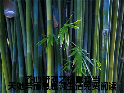 乔心妍薄之扬重逢当天她带着崽崽讨生活免费阅读（ 薄之扬乔心妍）全文免费阅读无弹窗大结局_乔心妍薄之扬重逢当天她带着崽崽讨生活免费阅读全文免费阅读（ 薄之扬乔心妍）最新章节列表_笔趣阁（ 薄之扬乔心妍）
