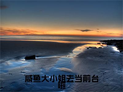 咸鱼大小姐去当前台啦免费小说全文免费阅读无弹窗大结局_沈溯许满星完结版在线阅读