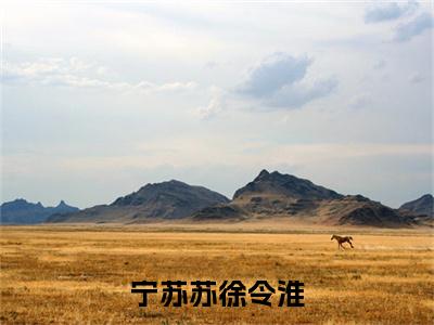 小说宁苏苏徐令淮免费阅读-（徐令淮宁苏苏）宁苏苏徐令淮最新章节小说阅读-笔趣阁