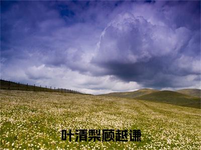 叶清梨顾越谦小说全文免费阅读无弹窗大结局_顾越谦叶清梨最新章节列表_笔趣阁