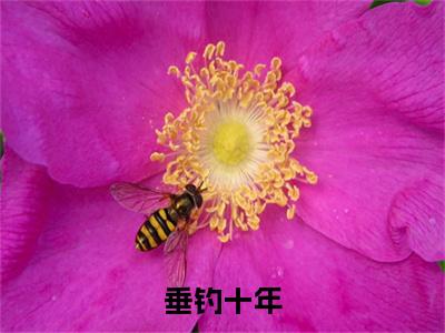 垂钓十年，我成隐士高人（ 叶林夭夭）全文免费阅读无弹窗-（垂钓十年，我成隐士高人） 叶林夭夭小说全文在线赏析