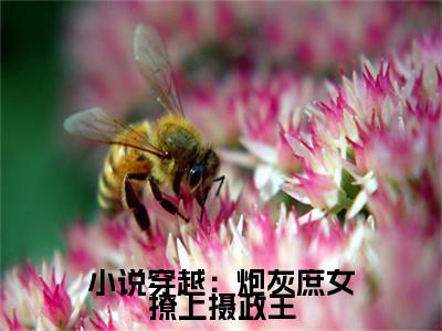 小说穿越：炮灰庶女撩上摄政王全文小说 霍嫣慕镜尘免费在线分享-新书热荐免费小说 霍嫣慕镜尘