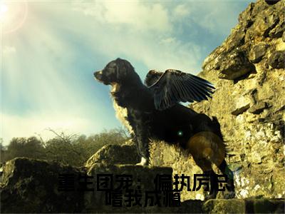 厉渊池慕（重生团宠：偏执厉总嗜我成瘾）火热新书无弹窗大结局_（厉渊池慕）重生团宠：偏执厉总嗜我成瘾最新章节列表_笔趣阁