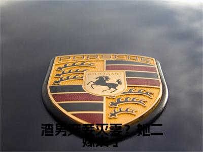 渣男宠妾灭妻？她二嫁太子小说在线阅读-主角叫 苏映枫莹儿的小说（渣男宠妾灭妻？她二嫁太子）完整版免费阅读全文