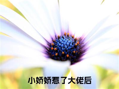  苏墨卿白迟迟小说免费阅读无弹窗大结局,小娇娇惹了大佬后，被抬进豪门了最新章节列表