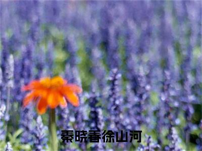 徐山河秦晓春小说(秦晓春徐山河)全文免费阅读无弹窗大结局_徐山河秦晓春小说最新章节列表_笔趣阁(秦晓春徐山河)
