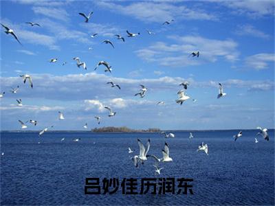 吕妙佳历润东珍藏美文读物历润东吕妙佳-历润东吕妙佳已完结全集大结局小说吕妙佳历润东