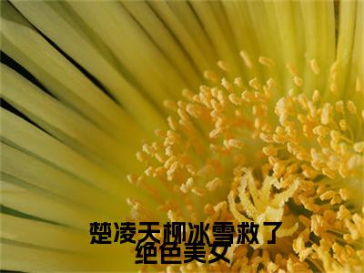 救了绝色美女，她在床边拿刀砍我全文免费阅读_（救了绝色美女，她在床边拿刀砍我） 楚凌天柳冰雪最新小说_笔趣阁