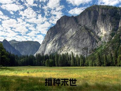 播种末世（李烨）最火婚恋小说-（李烨）全文免费阅读笔趣阁