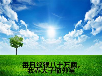 每月纹银八十万两，我养太子做外室小说（沈君曦萧宸）精彩免费小说_每月纹银八十万两，我养太子做外室全文免费阅读无弹窗大结局笔趣阁