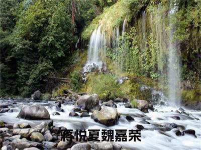 蒋悦夏魏嘉荣（魏嘉荣蒋悦夏）全文免费阅读无弹窗大结局_(蒋悦夏魏嘉荣)魏嘉荣蒋悦夏免费阅读无弹窗最新章节列表_笔趣阁（魏嘉荣蒋悦夏）