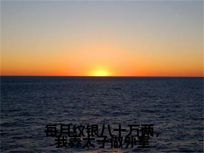 沈君曦萧宸（每月纹银八十万两，我养太子做外室）小说免费阅读_沈君曦萧宸精选小说全文阅读（每月纹银八十万两，我养太子做外室）