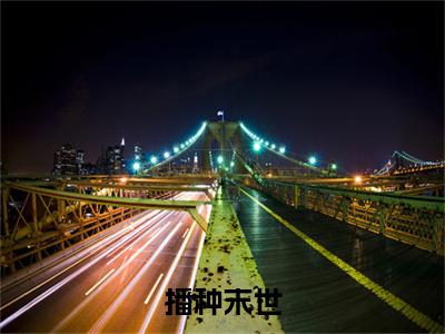 播种末世全文免费阅读无弹窗大结局_ (李烨完结)播种末世小说最新章节列表